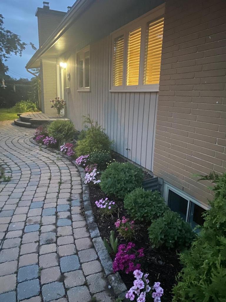 Spacious Guest house -walkout Basement- 4 guests! -dedicated workspace-No Pet! No Cooking! No Smoking! No Party!