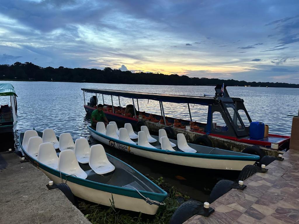 Hostel Tortuguero 7BackPackers photo 3