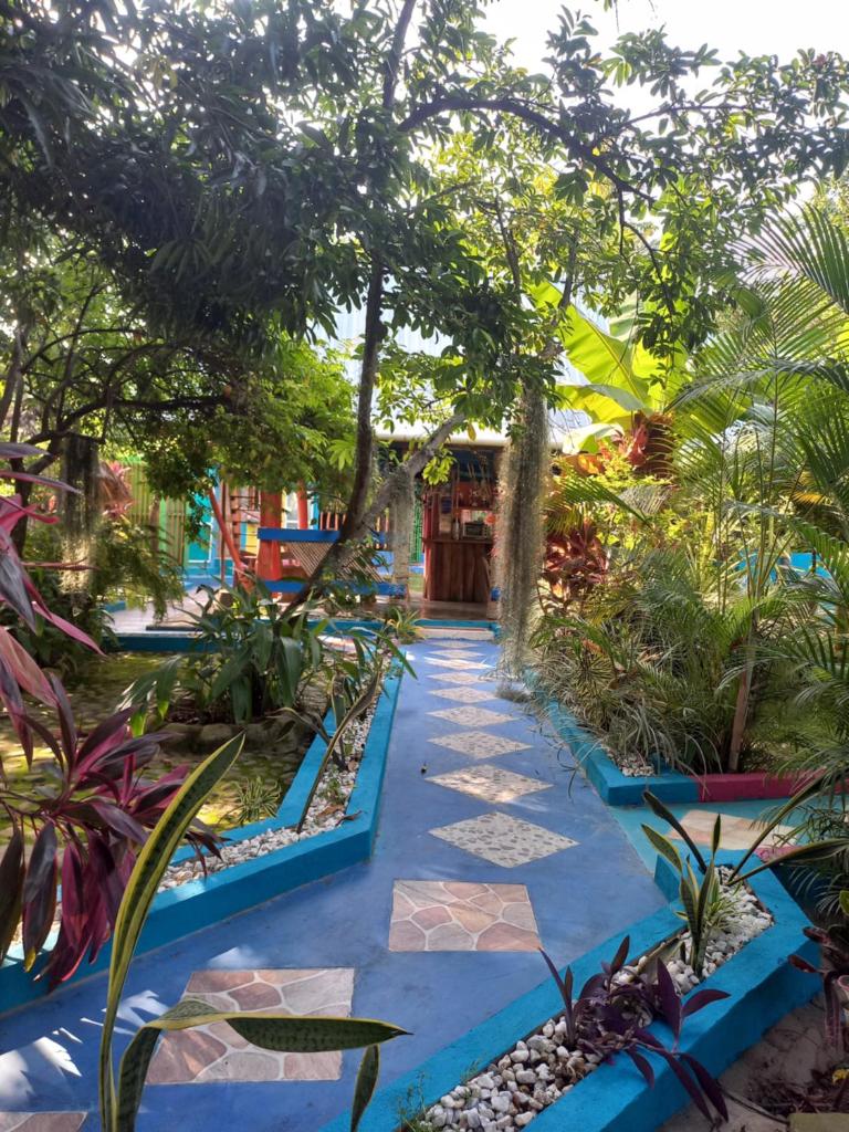 Eco-Cafe El Mirador photo 1