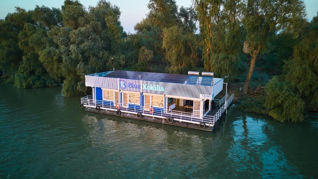 Blue Kokilia photo 1