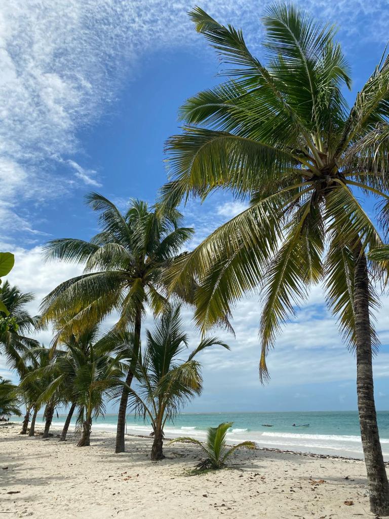 Sunny Studio Beachfront Apartment photo 3