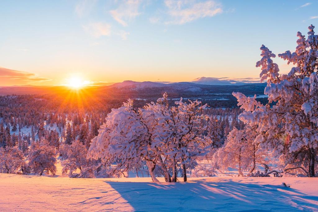 Vinterdröm Idre Himmelfjäll photo 1