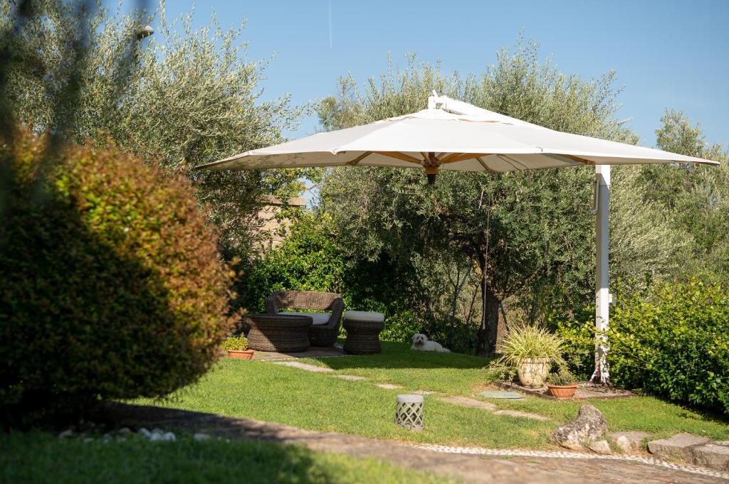 Villa Marilì photo 3