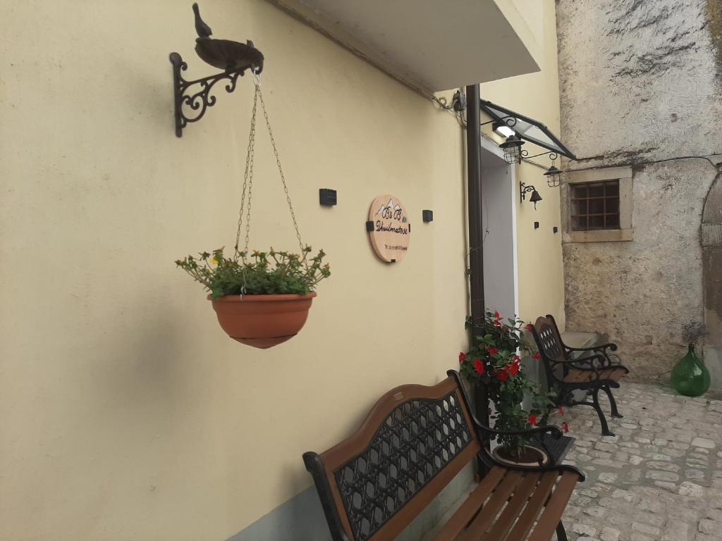 B&B Vivilmatese photo 4