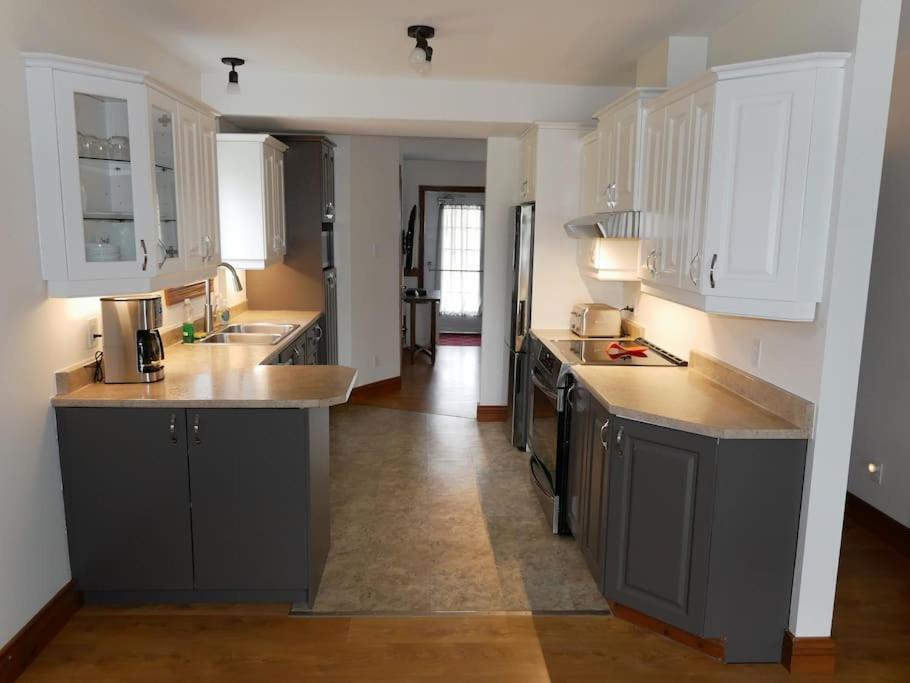 Equipped condo on St-Pierre Lake, Kamouraska RCM photo 2