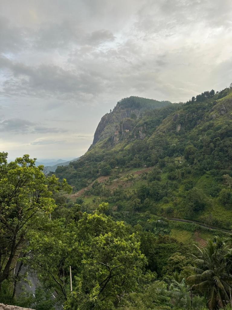 Mandara Mount Hotel photo 1
