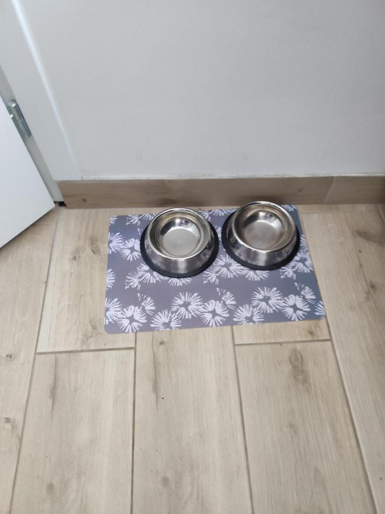 Evita Studio Apartment photo 1