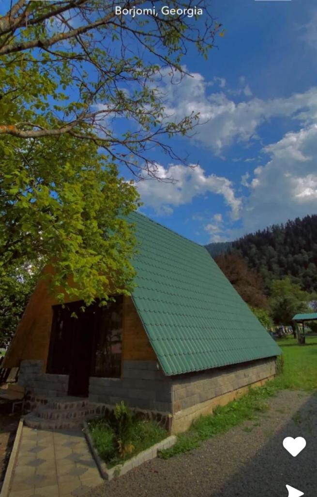 Borjomi-sadgeri''Twins'' photo 2