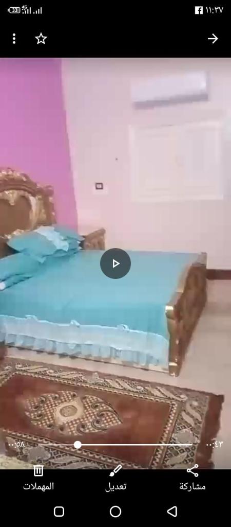 سفن تورز photo 1