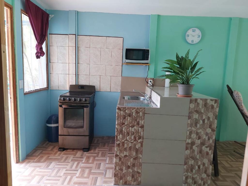 Apartamento Verde Oasis photo 1