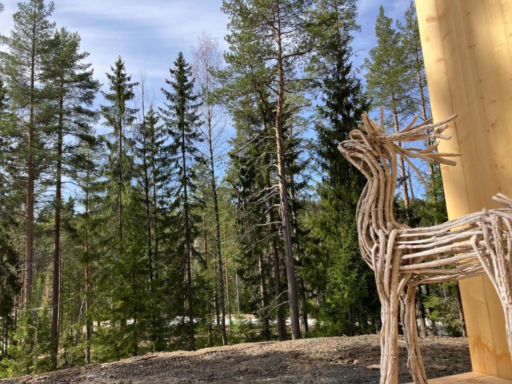 Havu Resort Laajavuori, a calm and peasefull place in the forest near city photo 4