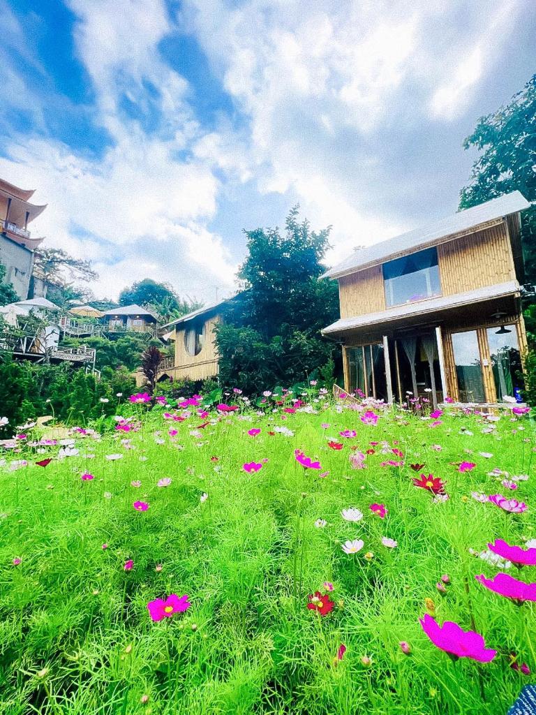 Nay Bungalow Dalat photo 1