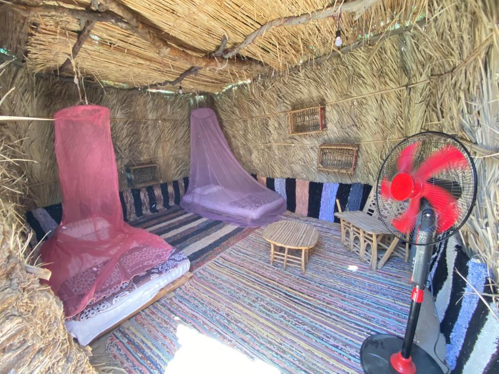 My Camp photo 1