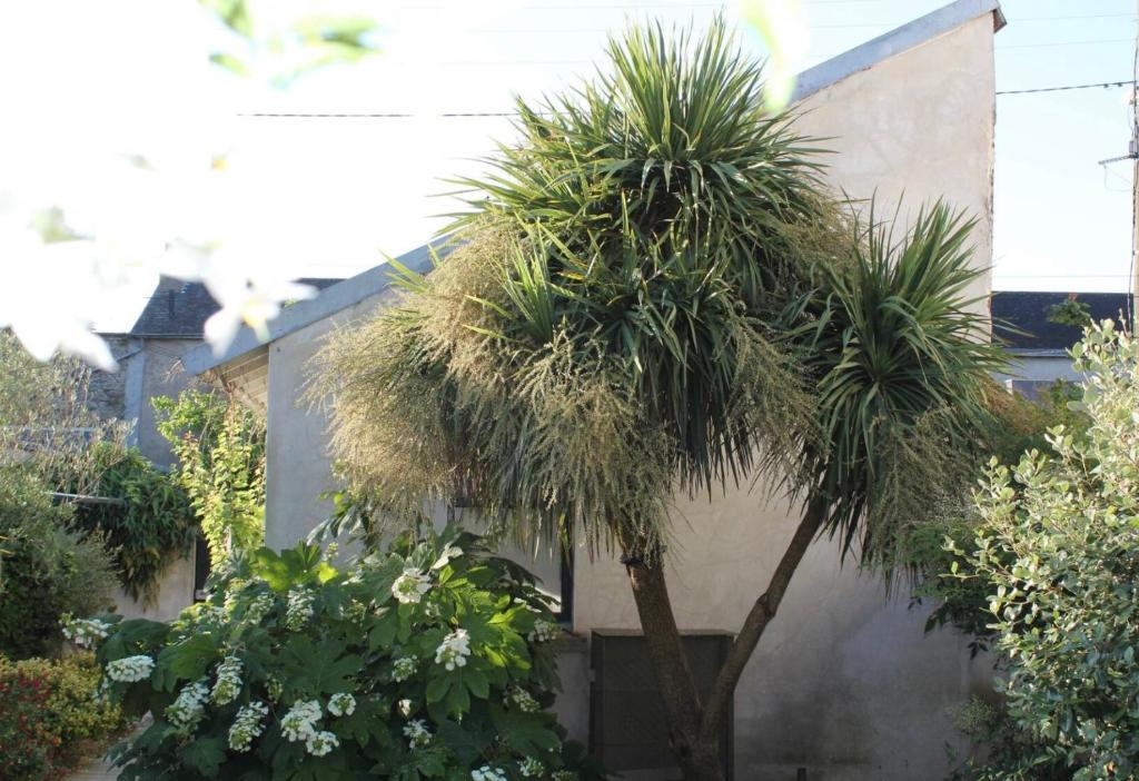 Duplex confort et jardin charmant photo 2