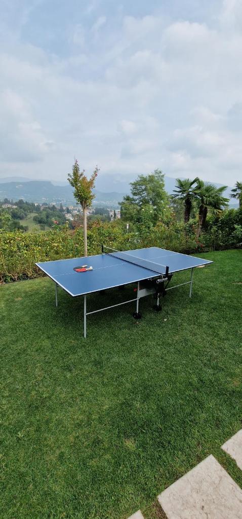 BellaVista photo 4