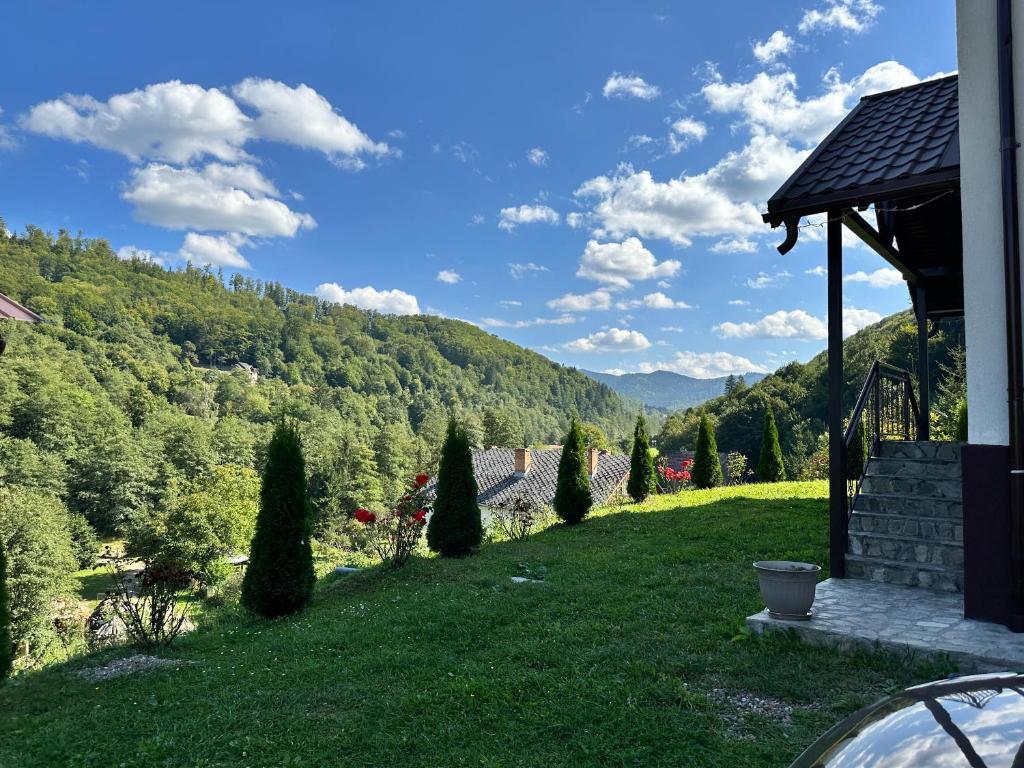 Zăvoarele photo 1