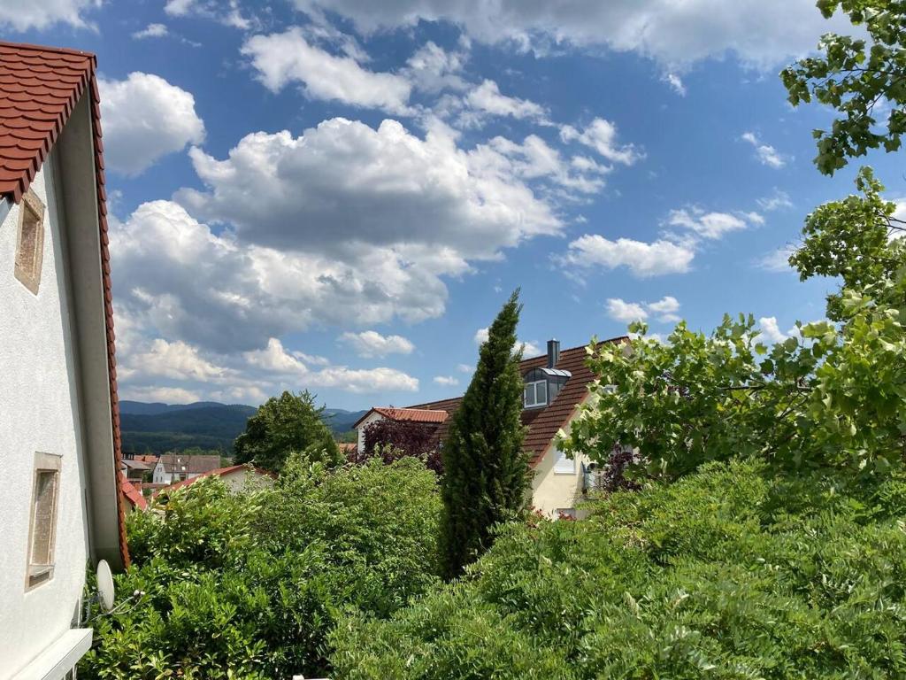 Neues Penthouse-Loft mit KONUSKarte für gratis ÖPNV photo 3