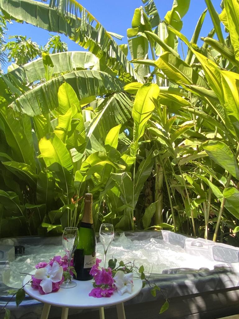Kaz ananas, spa privatif ,plage du Helleux photo 3