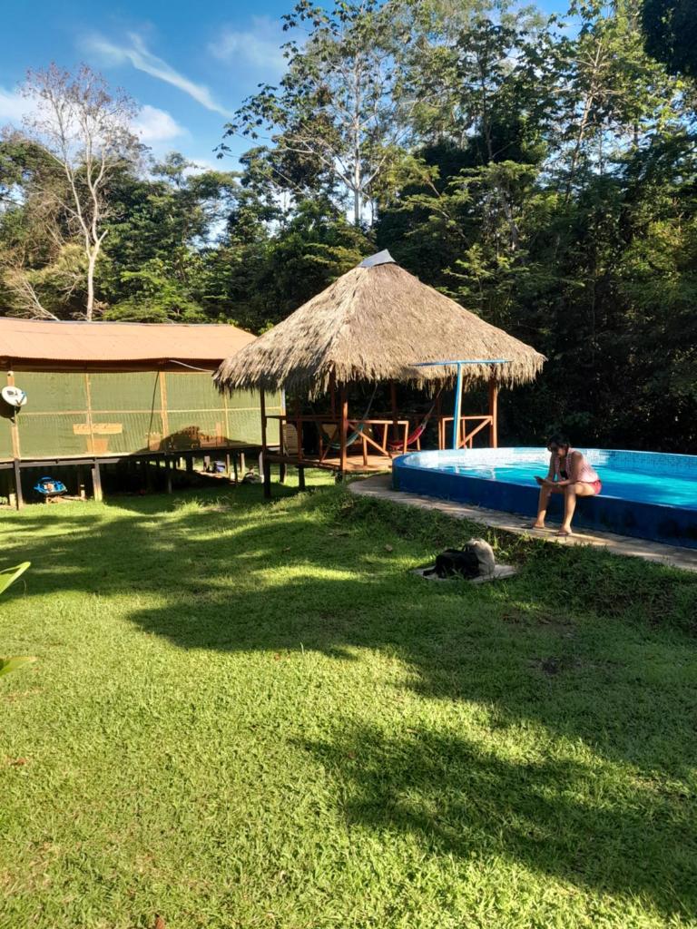 Jungle Explorer Lodge