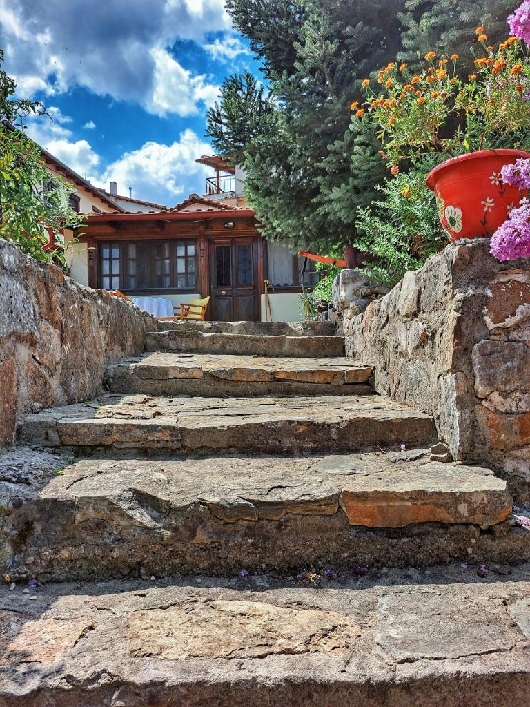 Panthea Cottage photo 4