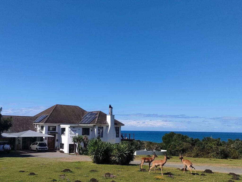 Cove View B&B photo 2