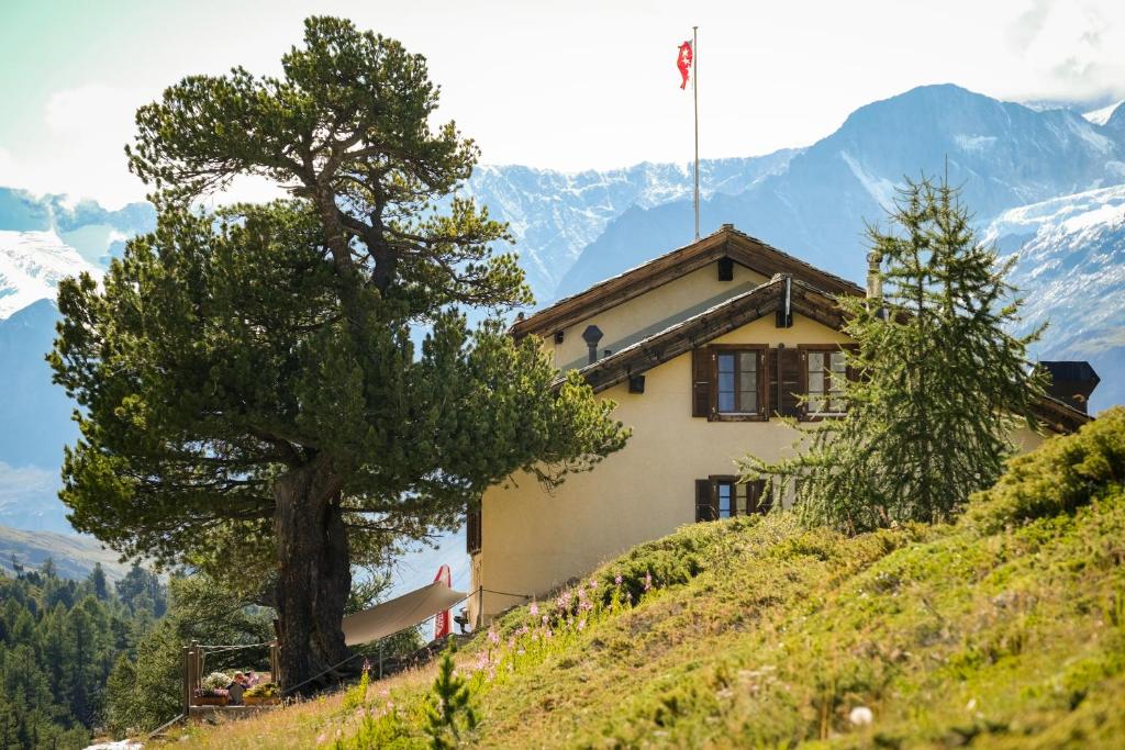 Mountain Lodge Ze Seewjinu - above Zermatt photo 4