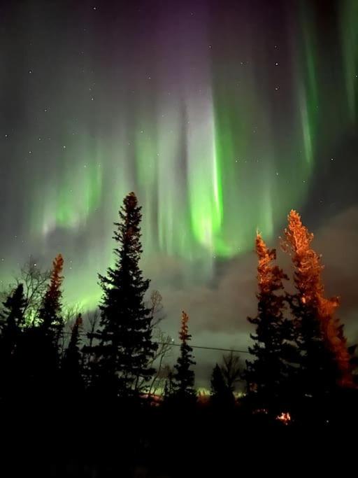 Mysig fjällstuga med direktanslutning till fjället photo 3