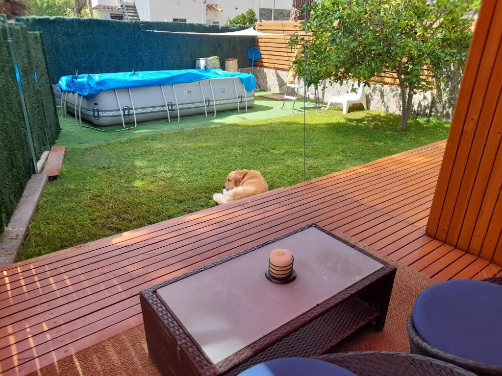 El meu petit jardí photo 1