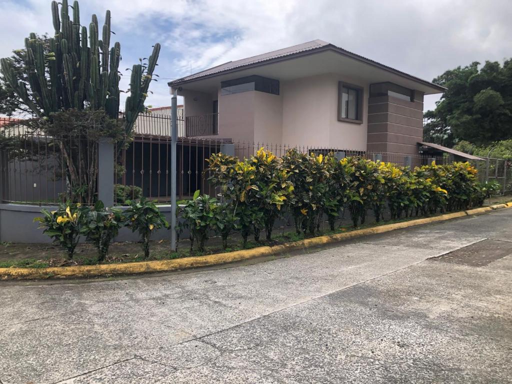 Casa Leyla