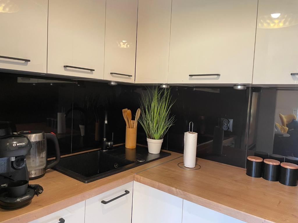 Luxury Apartment photo 3