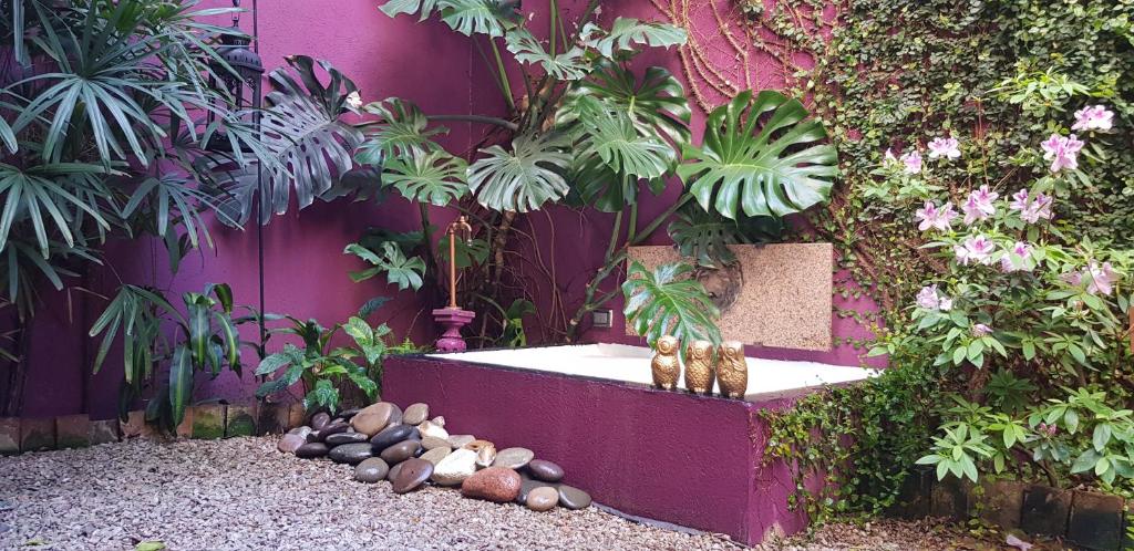 InspireBA - Garden photo 3