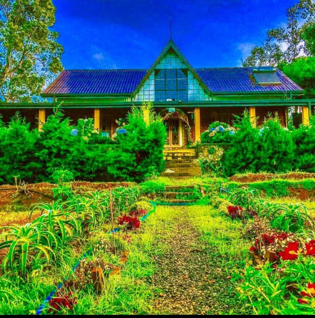 Shadow mask bungalow photo 3