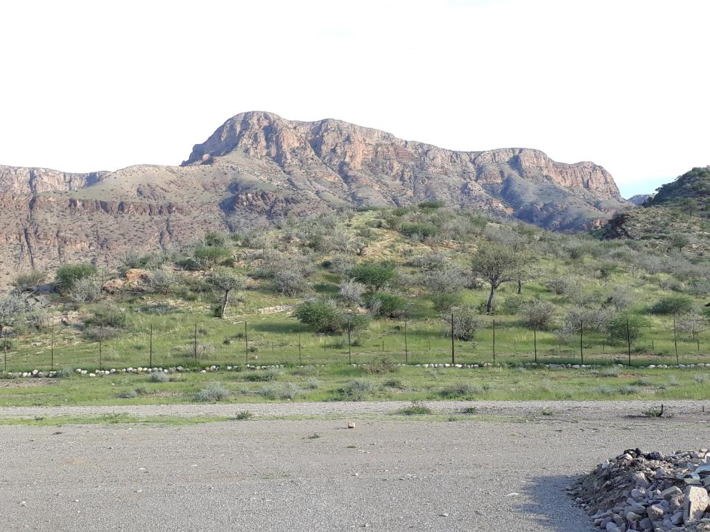 BKZ Self-Catering photo 1