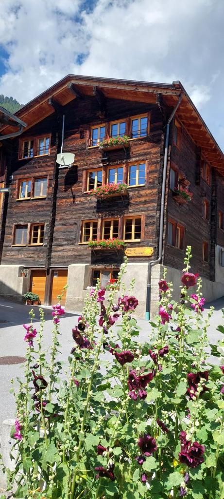 Alpensonne