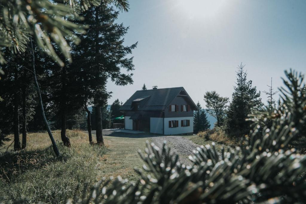 Apartmaji Mara photo 3