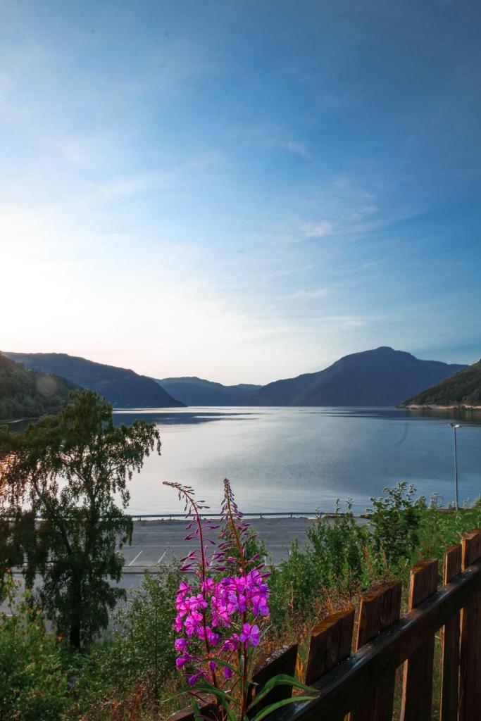 Kinsarvik Camping photo 3