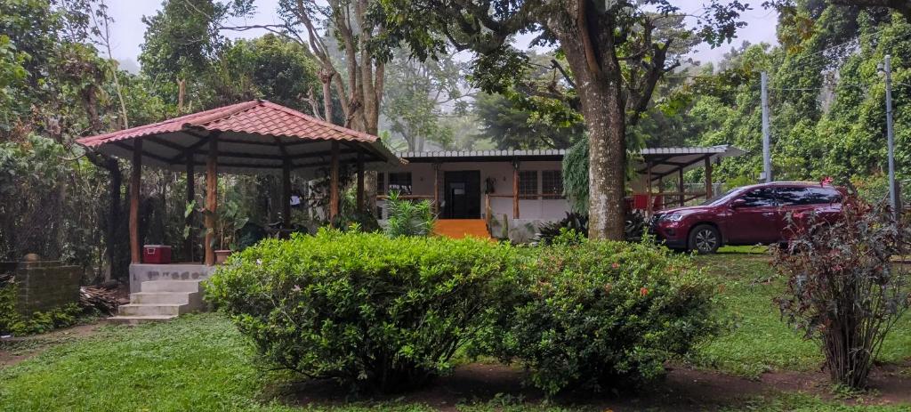 Neysa's Vacation House photo 3