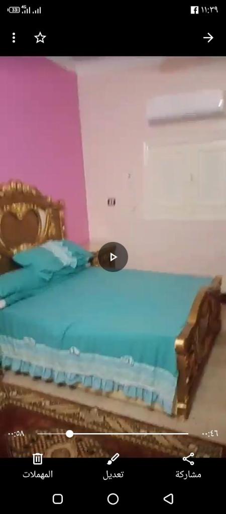 سفن تورز هوستيل photo 2