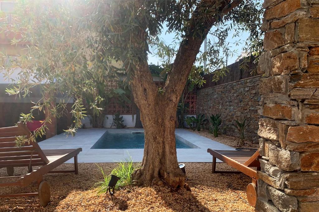 Villa Montgo photo 3