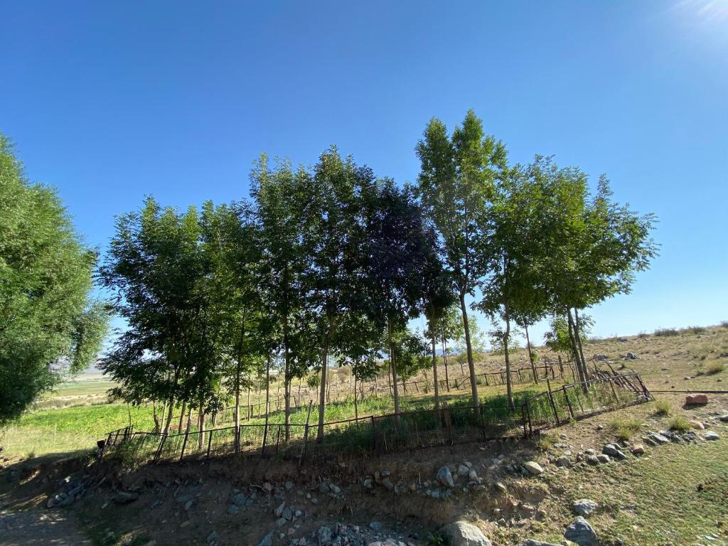 Jailoo-Kok-Bulak photo 1