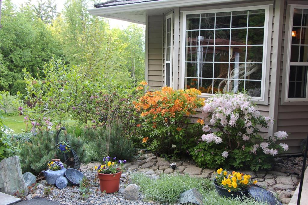 Selah Retreat Guesthouse B&B photo 3
