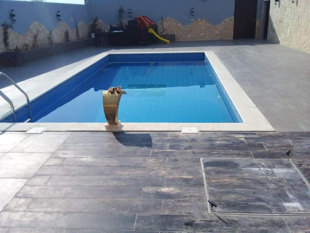 مزرعه الوادي photo 2