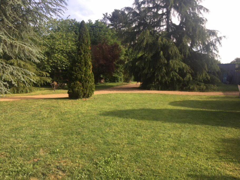 La Pidellerie bord de Cher-Châteaux de la Loire photo 1