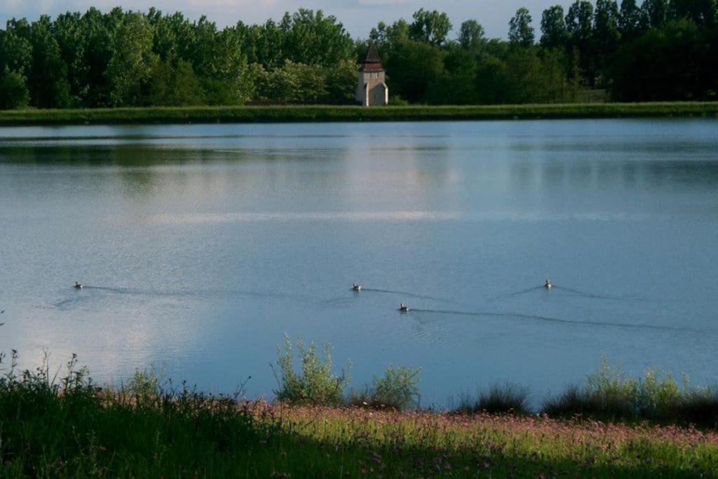The Lake Cottage in Gascony France photo 2