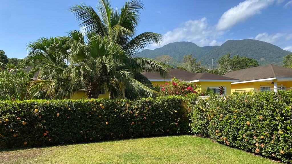 Z45 Roma, Honduras photo 3
