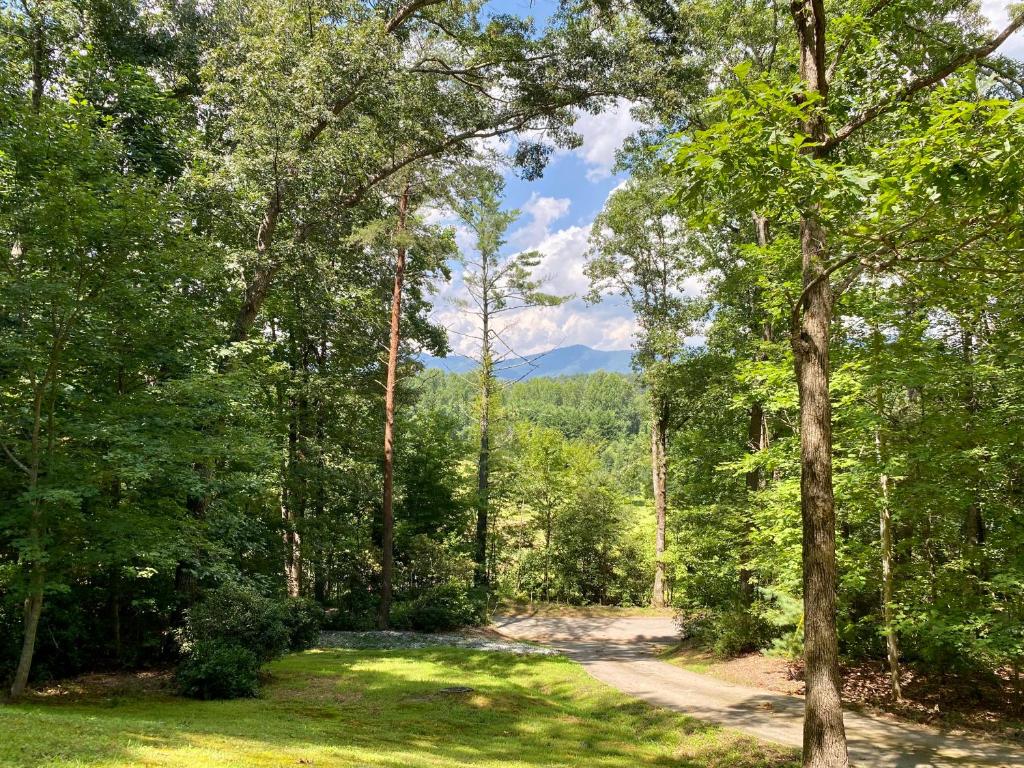 New Listing! Mountainview Escape
