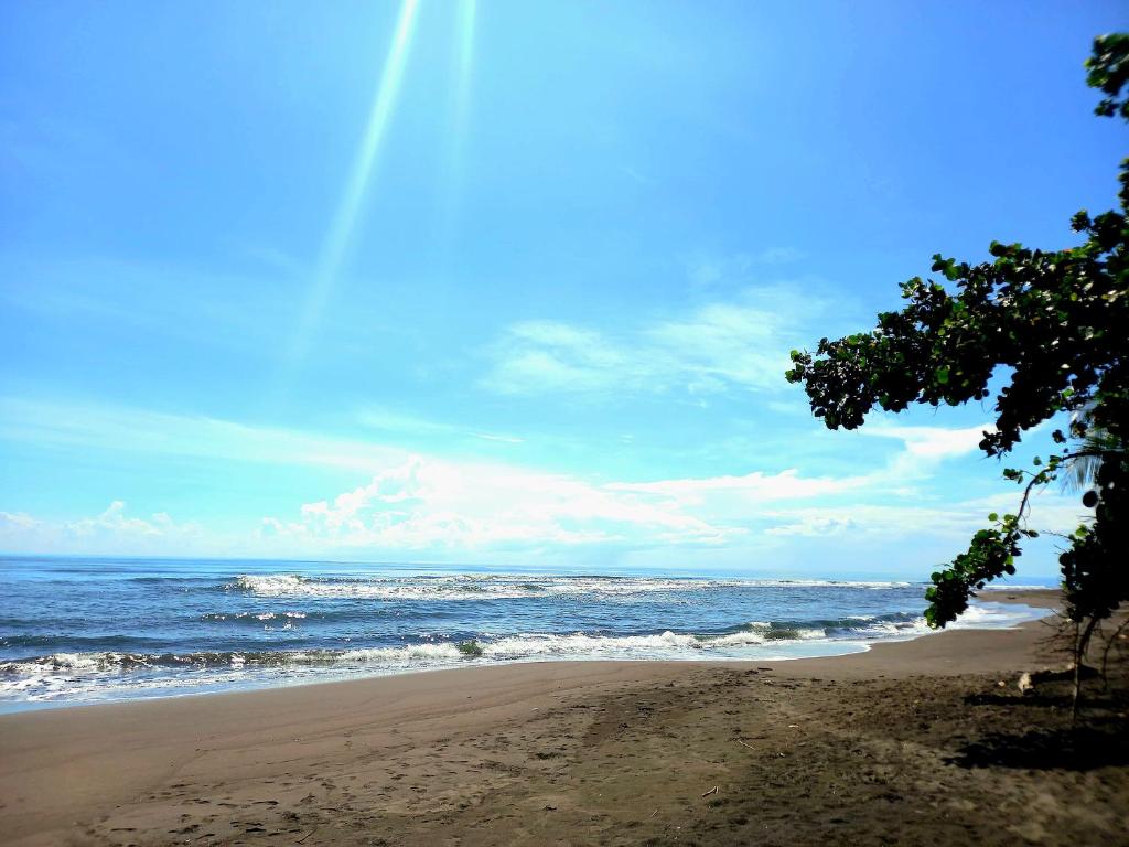 Tortuguero Adventures Beach House photo 3