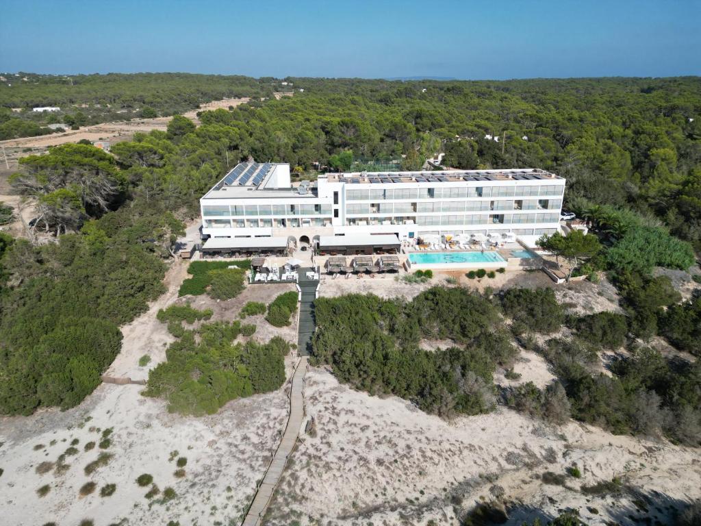 Hotel Cala Saona & Spa photo 3