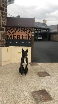 Résidence Merlin Appart des Druides photo 1