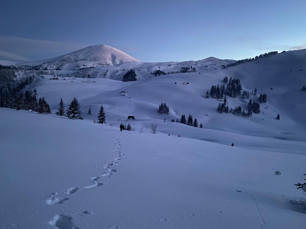 Vikendica KOLIBA NISAVIC photo 1